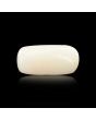Japani White Coral 5.66 Carat 