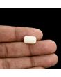 Japani White Coral 5.85 Carat 