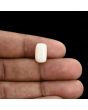 Japani White Coral 5.85 Carat 