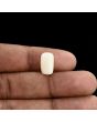 Japani White Coral 5.85 Carat 