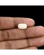 Japani White Coral 5.12 Carat 