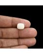 Japani White Coral 5.77 Carat 