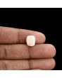 Japani White Coral 5.77 Carat 