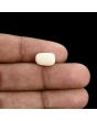 Japani White Coral 5.15 Carat 
