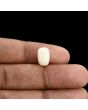 Japani White Coral 5.15 Carat 