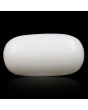 Japani White Coral 11.43 Carat 