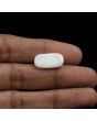 Japani White Coral 11.43 Carat 