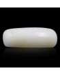 Japani White Coral 7.91 Carat 