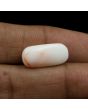 Japani White Coral 8.66 Carat 