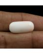 Japani White Coral 8.66 Carat 