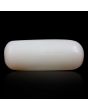 Japani White Coral 8.54 Carat 