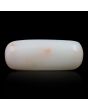 Japani White Coral 8.54 Carat 
