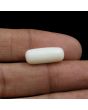 Japani White Coral 8.54 Carat 