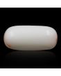 Japani White Coral 7.8 Carat 