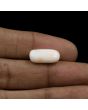 Japani White Coral 7.8 Carat 