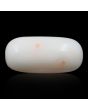Japani White Coral 7.34 Carat 