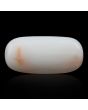 Japani White Coral 7.34 Carat 
