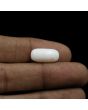 Japani White Coral 7.34 Carat 