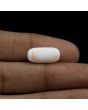 Japani White Coral 7.34 Carat 