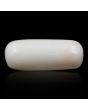 Japani White Coral 9.15 Carat 