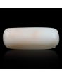 Japani White Coral 9.15 Carat 
