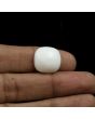 Japani White Coral 15.42 Carat