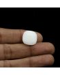 Japani White Coral 15.42 Carat