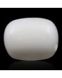 Japani White Coral 11.96 Carat 