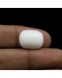 Japani White Coral 11.96 Carat 