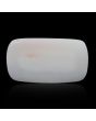 Japani White Coral 10.28 Carat 