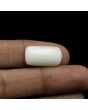 Japani White Coral 10.28 Carat 