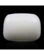 Japani White Coral 16.82 Carat 