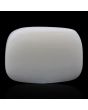 Japani White Coral 16.82 Carat 