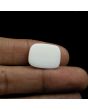 Japani White Coral 16.82 Carat 