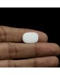 Japani White Coral 8.87 Carat 