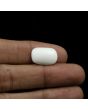 Japani White Coral 8.87 Carat 