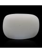 Japani White Coral 9.76 Carat 