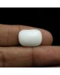 Japani White Coral 9.76 Carat 