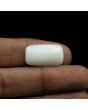 Japani White Coral 11.01 Carat 