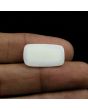 Japani White Coral 11.01 Carat 