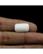 Japani White Coral 10.75 Carat 