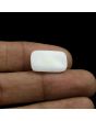 Japani White Coral 10.75 Carat 