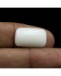 Japani White Coral 10.83 Carat 