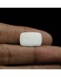 Japani White Coral 10.83 Carat 