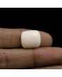 Japani White Coral 12.98 Carat 