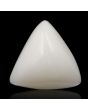 Japani White Coral 9.32 Carat 