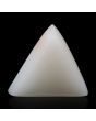 Japani White Coral 8.91 Carat 