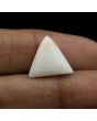 Japani White Coral 8.91 Carat 