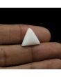 Japani White Coral 8.91 Carat 