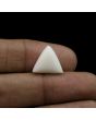 Japani White Coral 7.78 Carat 
